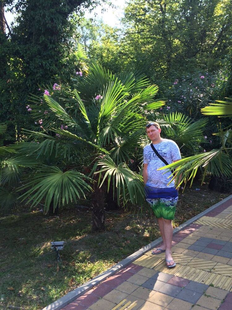 ���� 23561556 ������� ��, 45 ���, ���� ���������� � �������