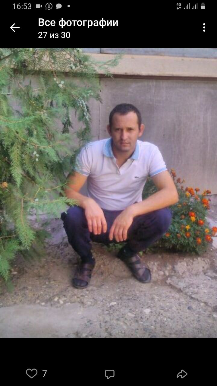 ���� 24868466 ������� ����, 38 ���, ���� ���������� � ���������