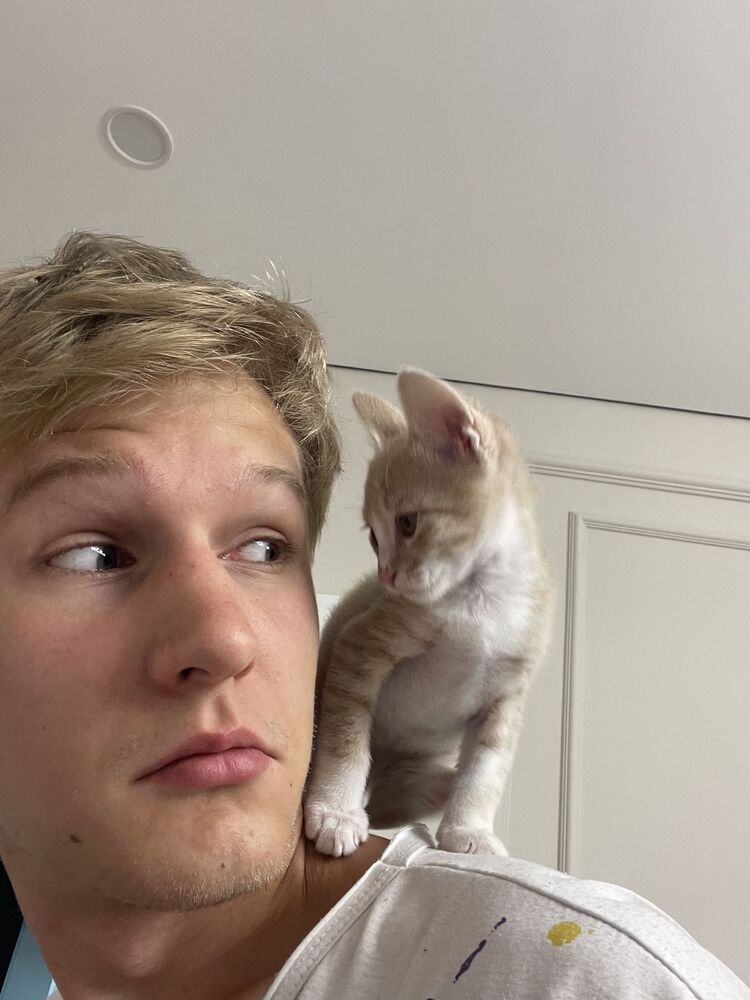 ���������� �������, ���� ����� �������, 18 ���, ������������ ��� ������, ����� � ���������