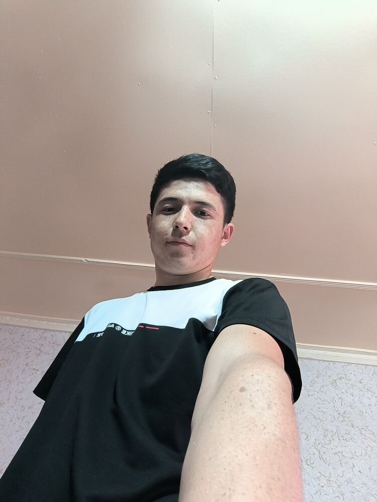  48805056  , 20 ,    