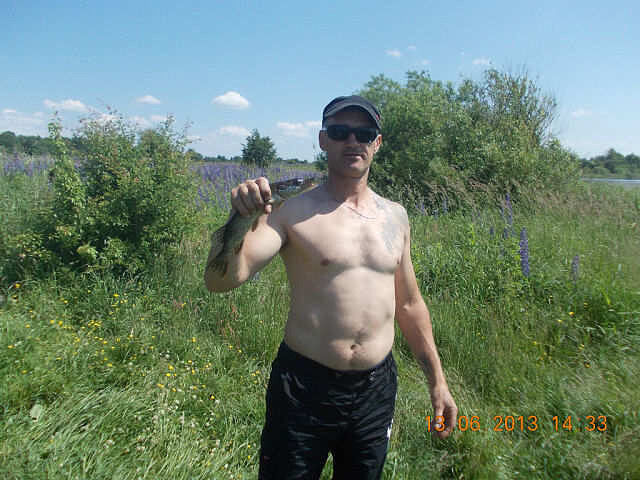 ���� 8123286 ������� �����, 53 ����, ���� ���������� � ������������