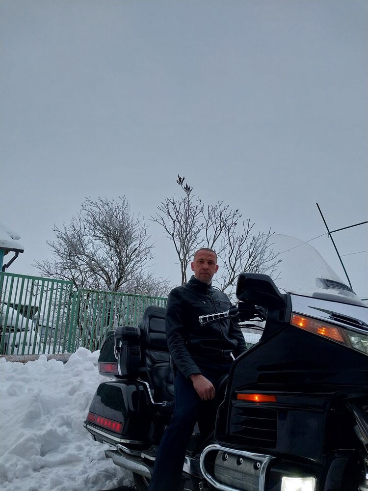  31404846  , 43 ,    