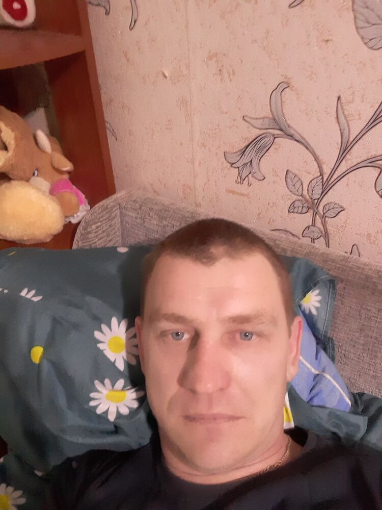  44480396  , 43 ,    
