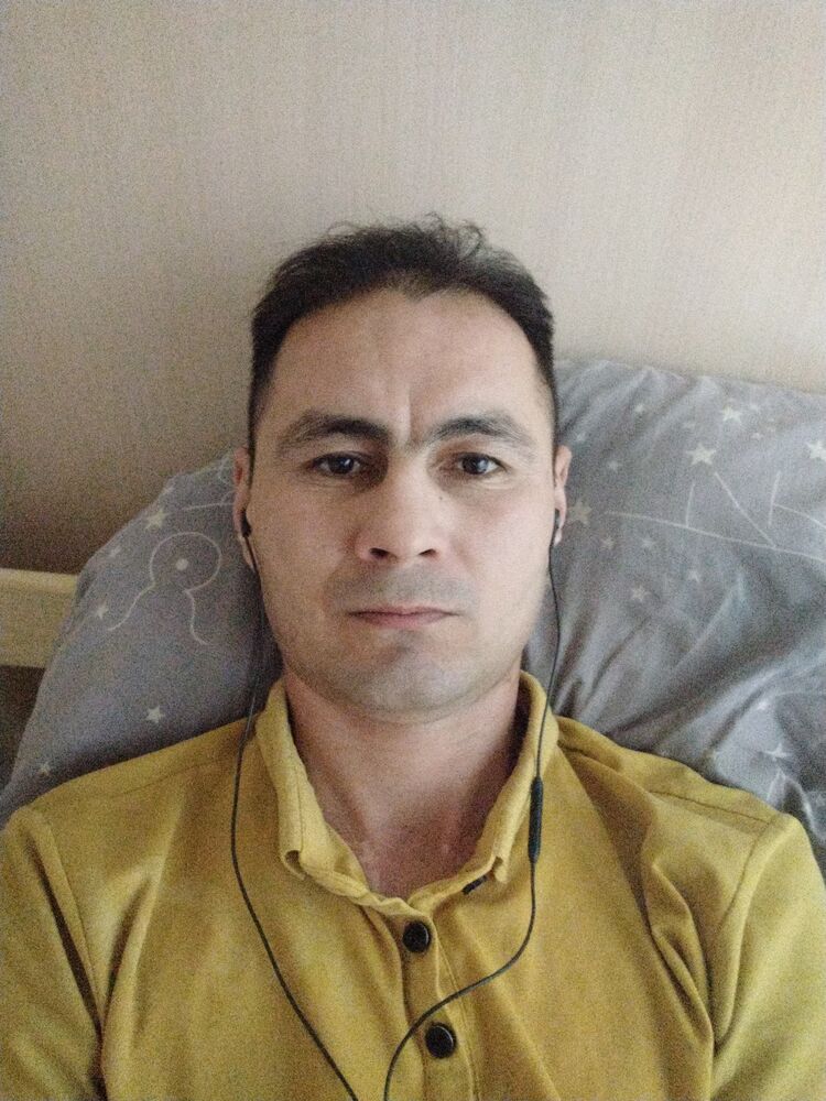  31183756  , 40 ,    