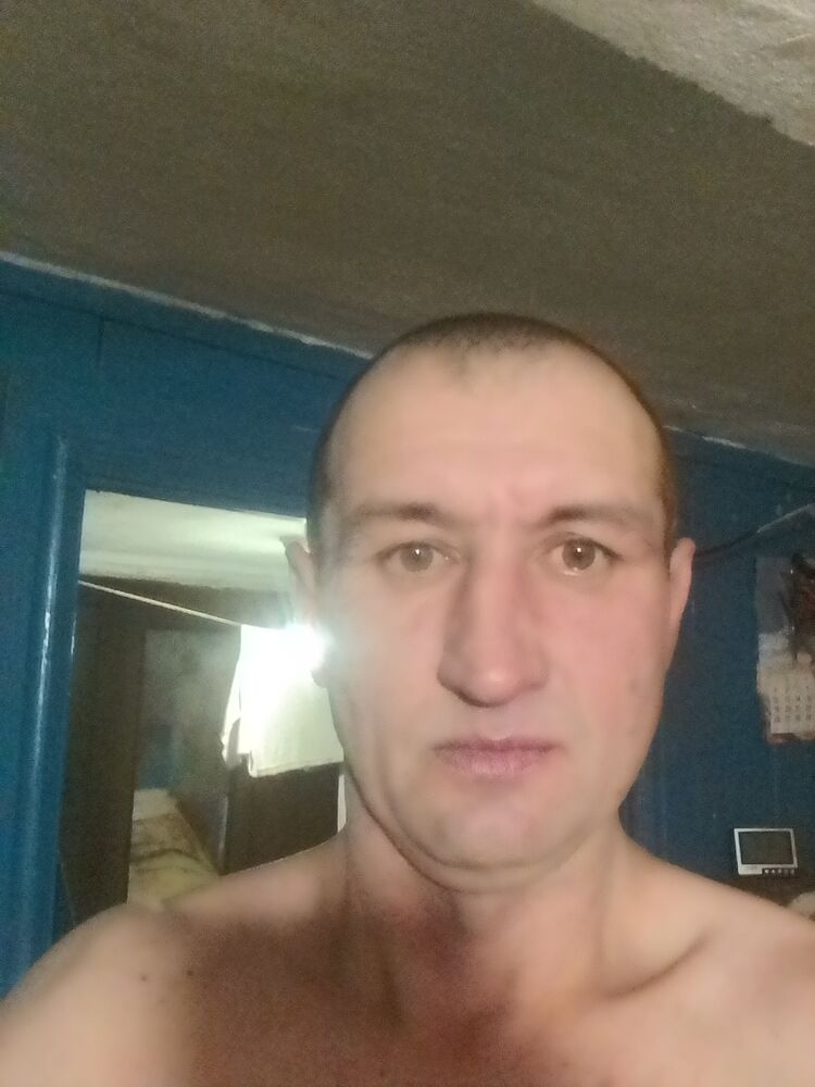  31162146  , 46 ,    
