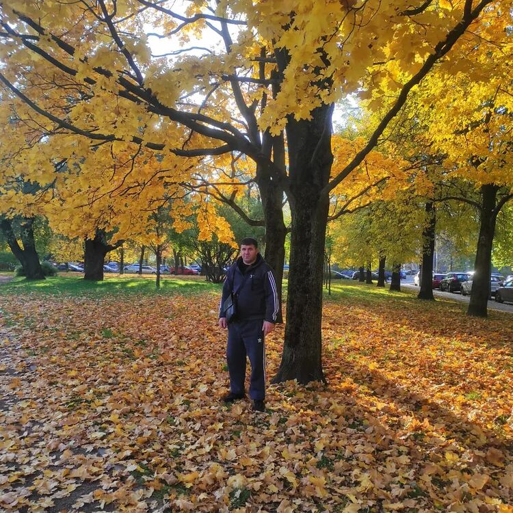 ���������� �����-���������, ���� ������� �����, 38 ���, ������������ ��� ������, ����� � ���������