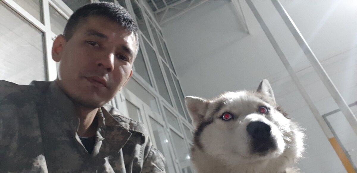 ���� 16295936 ������� �����, 43 ����, ���� ���������� � ������