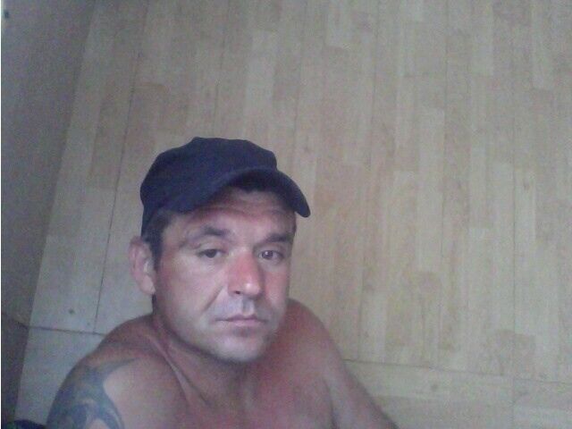  48151466  , 43 ,    
