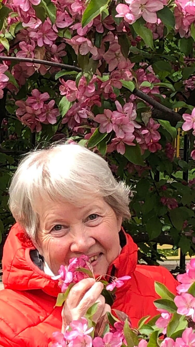 ���� 55612426 ������� ����, 72 ����, ���� ���������� � ������