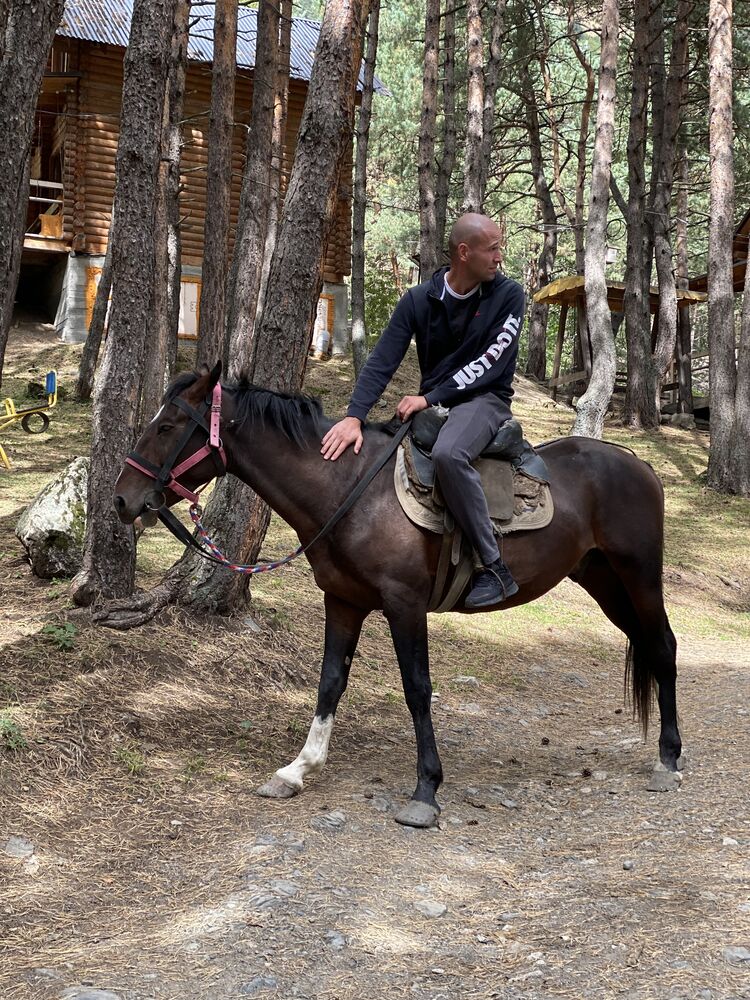 ���� 33533496 ������� ����, 36 ���, ���� ���������� � ���������