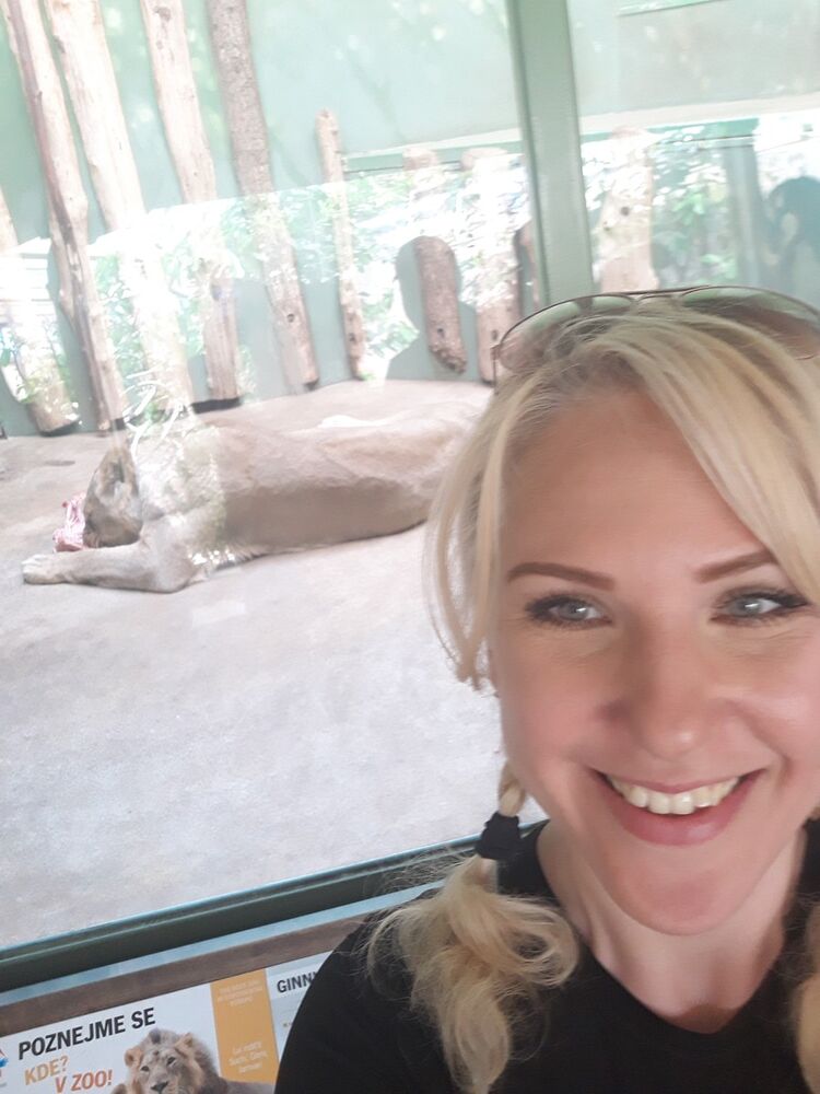 ���������� ��������������, ���� ������� ����������, 45 ���, ������������ ��� ������, ����� � ���������, c�������� ���������