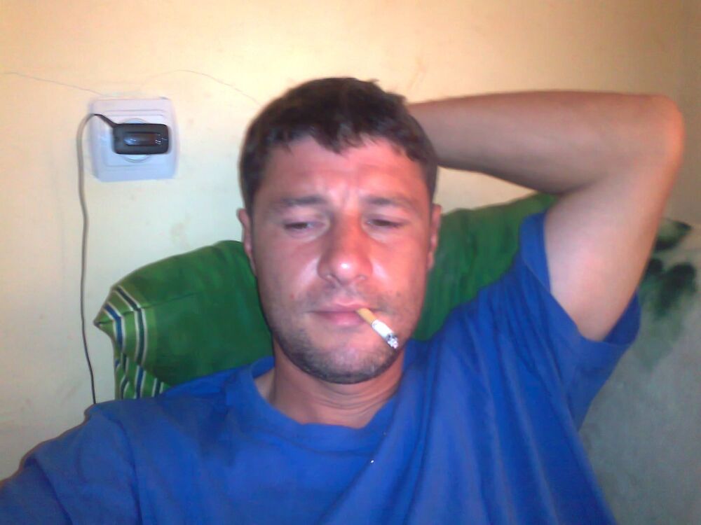 ���� 5040696 ������� Barambo, 45 ���, ���� ���������� � �������