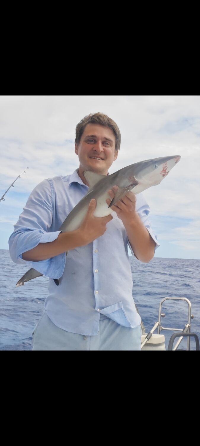 ���� 55134586 ������� �������, 34 ����, ���� ���������� � ������