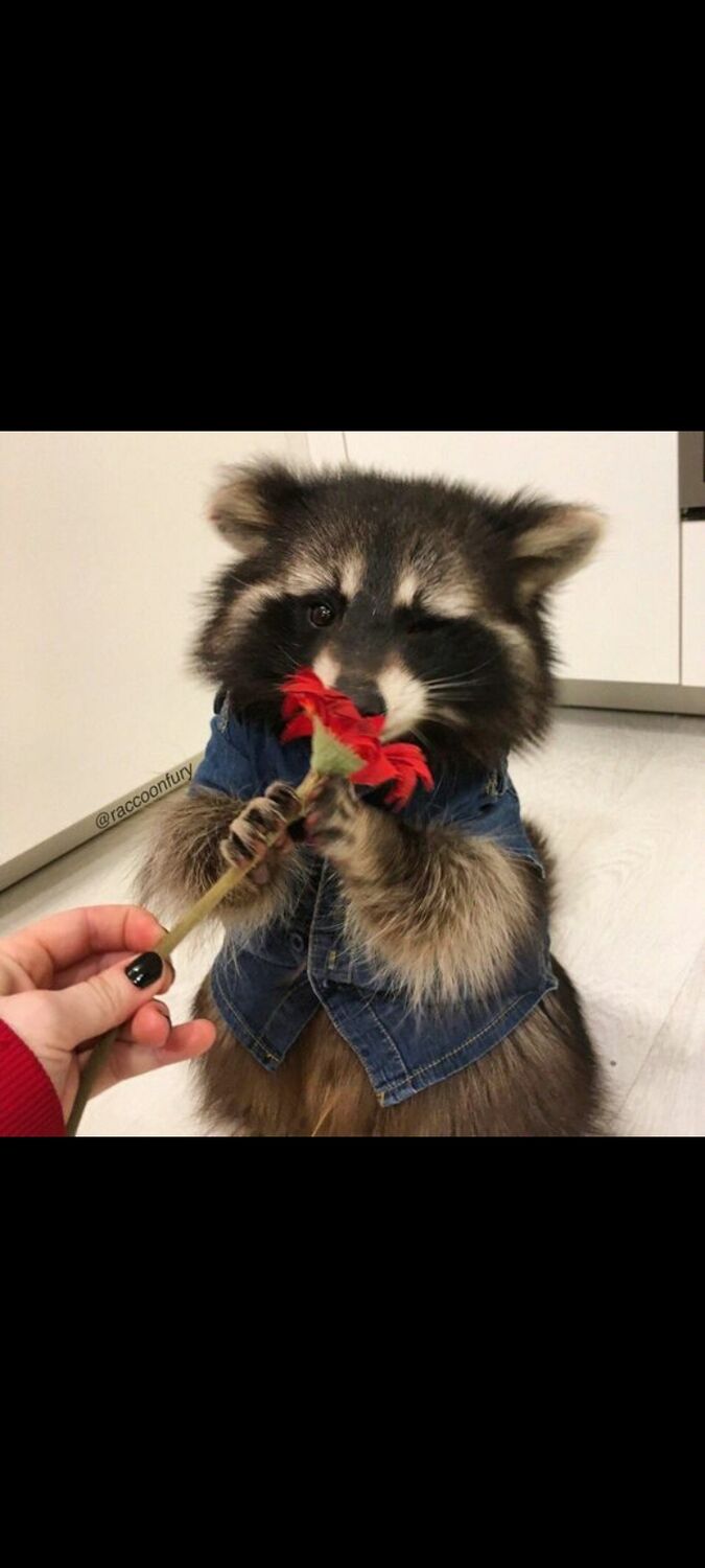 ���� 46389796 ������� �����, 29 ���, ���� ���������� � ������