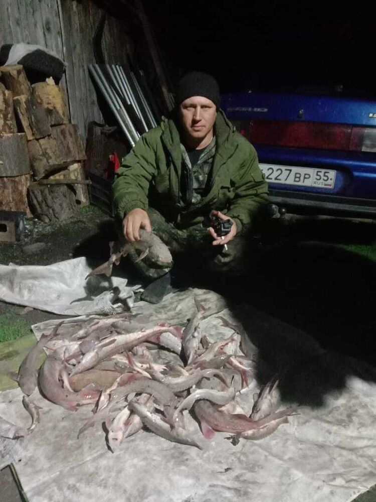 ���� 38442606 ������� ����, 38 ���, ���� ���������� � �������������