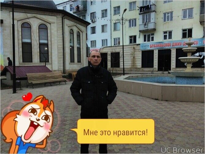  9667686  , 53 ,    