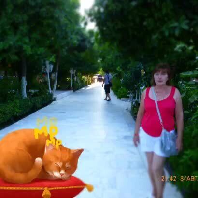 ���� 32981556 ������� �������, 67 ���, ���� ���������� � ���������