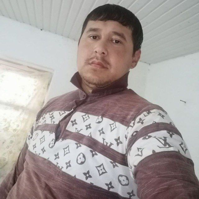  50305766  , 33 ,    