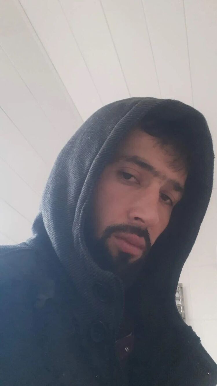  45983806  , 31 ,    