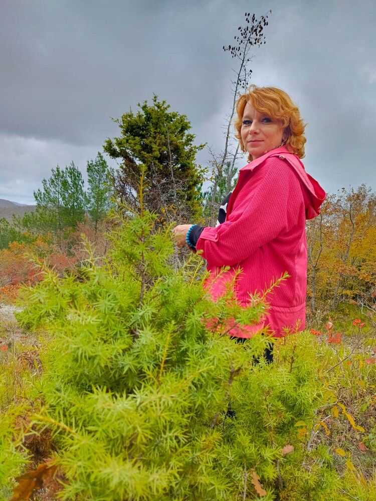 ���� 54921426 ������� ����, 44 ����, ���� ���������� � ����������