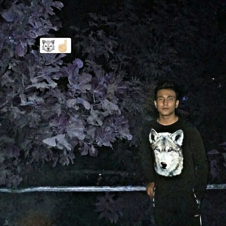 ���� 22062306 ����� �����_, 24 ����, ���� ���������� � �������