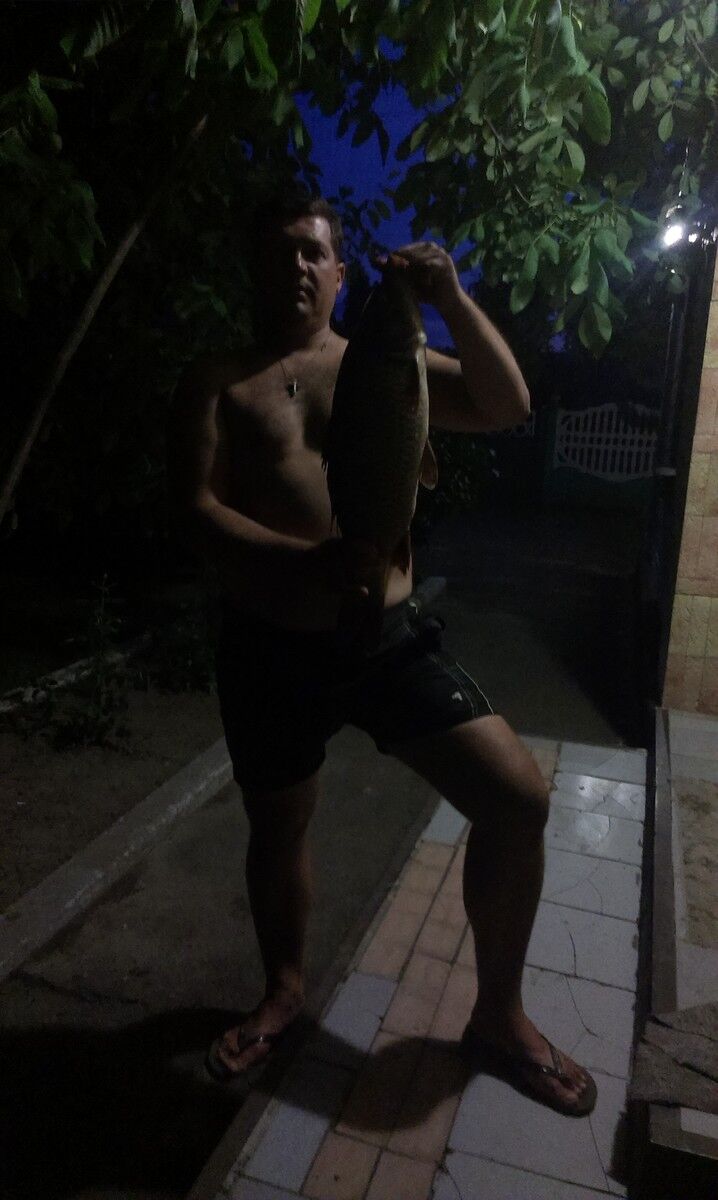 ���� 7358346 ������� �������, 41 ���, ���� ���������� � ����� �������