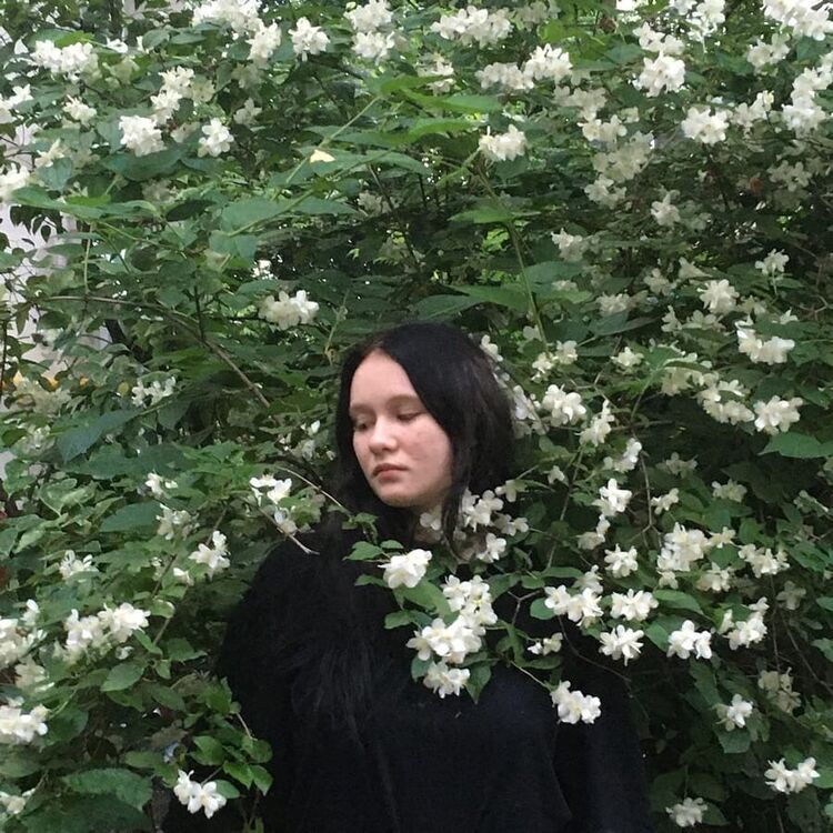 ���� 23213806 ������� ������, 22 ����, ���� ���������� � ������ ���������