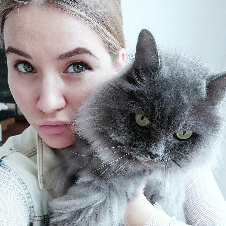  ,   , 24 ,   