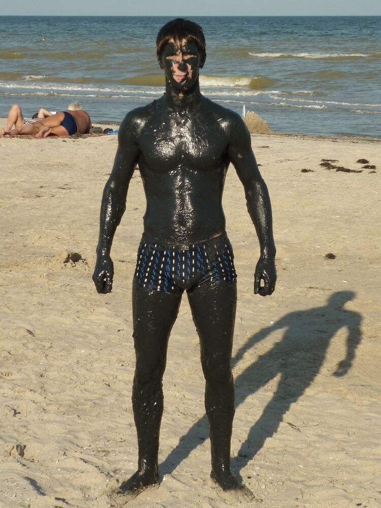  6584436  , 32 ,    