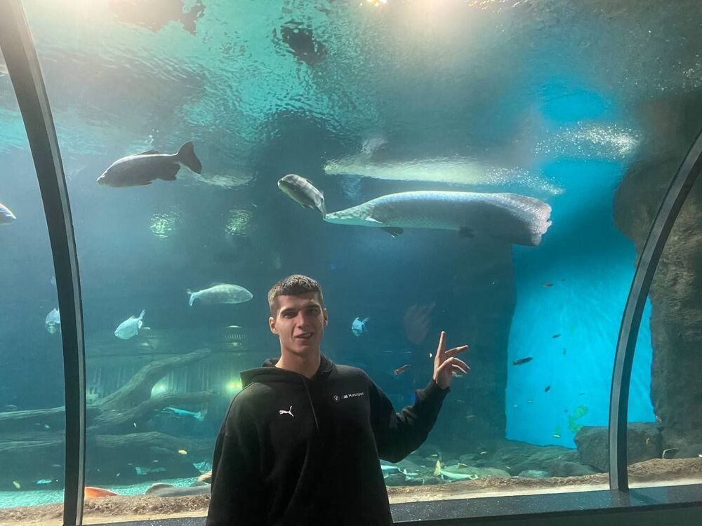 ���������� ������, ���� ������� �����, 26 ���, ������������ ��� ������, ����� � ���������