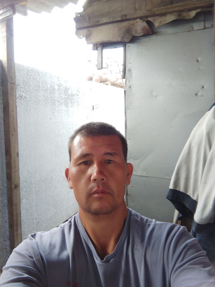  44466286  , 43 ,    