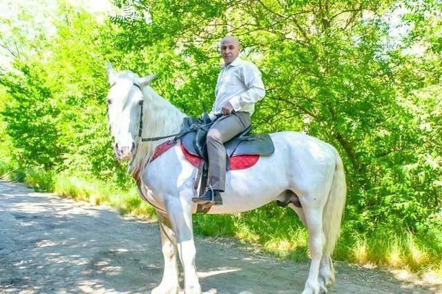 ���������� ������-��-����, ���� ������� Dominik, 37 ���, ������������ ��� ������, ����� � ���������, c�������� ���������