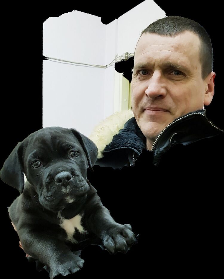  52021786  , 54 ,    -