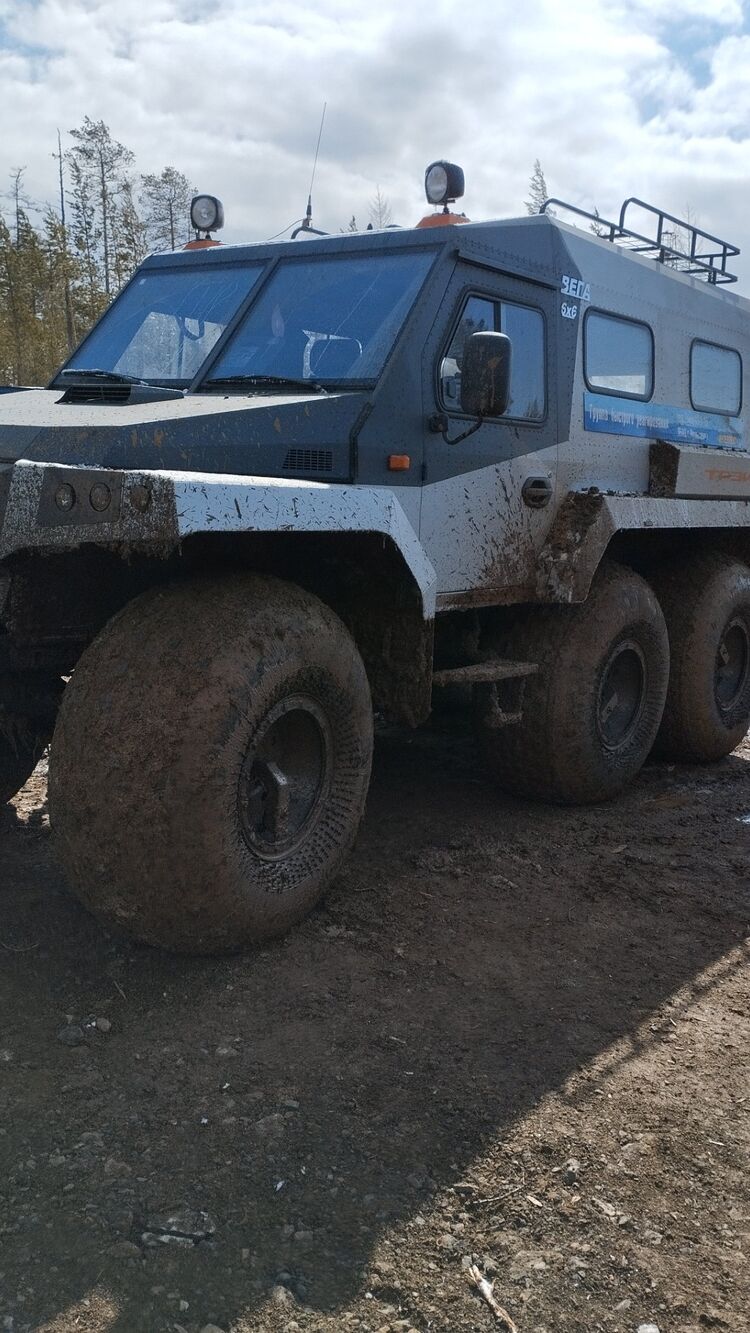  48561246  , 55 ,    