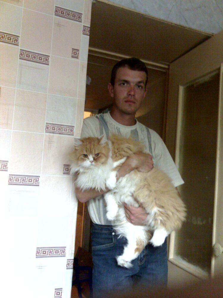 ���� 25686976 ������� �������, 45 ���, ���� ���������� � ���������