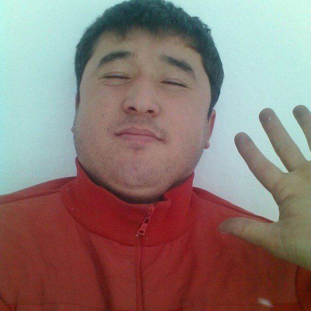 ���� 33062536 ������� ���� �������, 38 ���, ���� ���������� � ��������