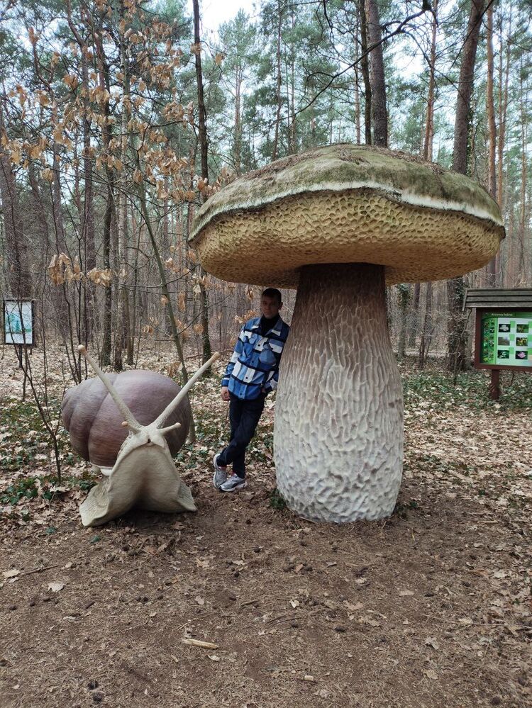 Warszawa,   , 46 ,     , 