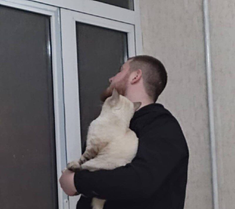 ���� 37948566 ������� �����, 27 ���, ���� ���������� � ������