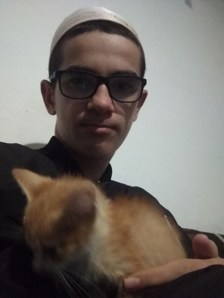 ���� 21435276 ����� �������, 23 ����, ���� ���������� � ����������