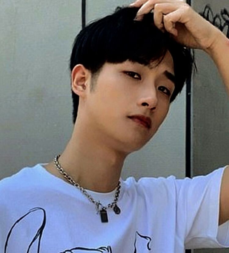 ���������� ���������, ���� ����� ����, 20 ���, ������������ ��� ������