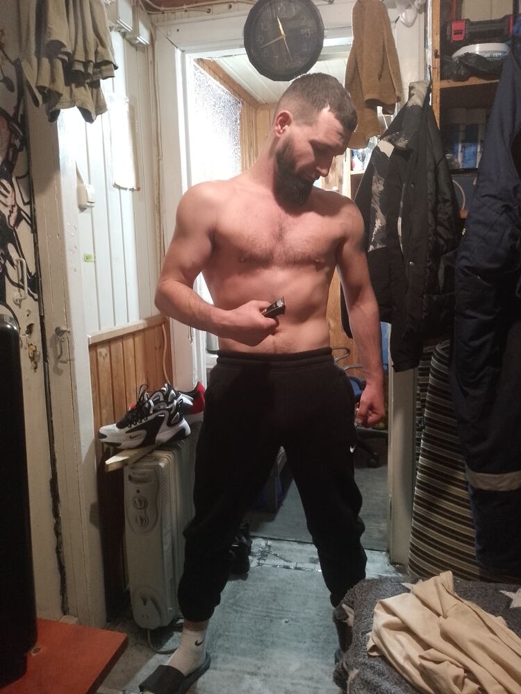  52836156  , 31 ,    