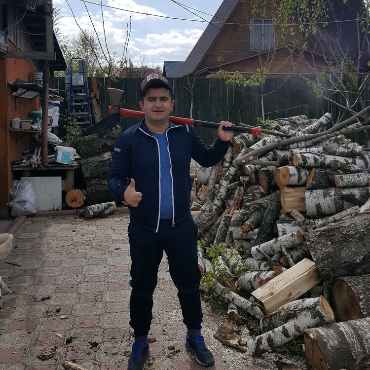  9663016  , 37 ,    