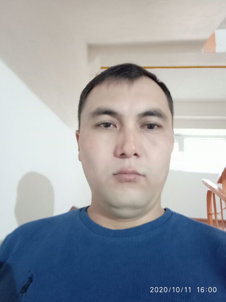  23137926  , 40 ,    
