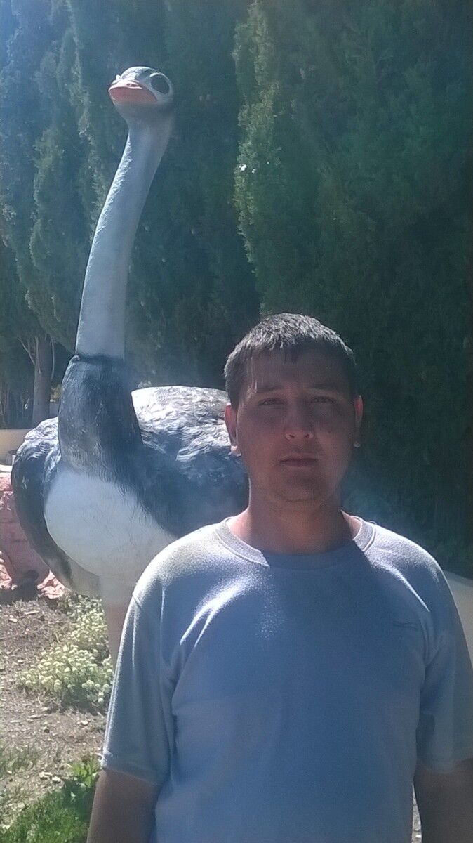 ���������� �����������, ���� ������� ����, 34 ����, ������������ ��� ������, ����� � ���������, c�������� ���������