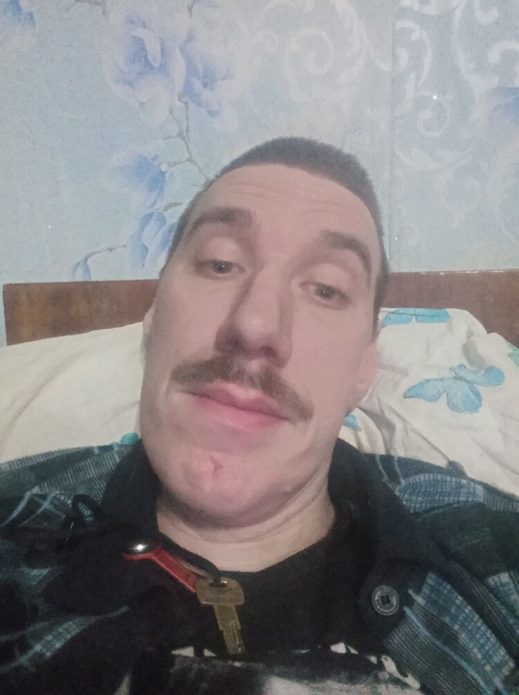  43101536  , 42 ,    