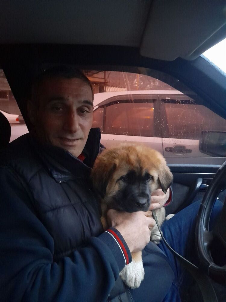 ,   Arman, 44 ,   ,   