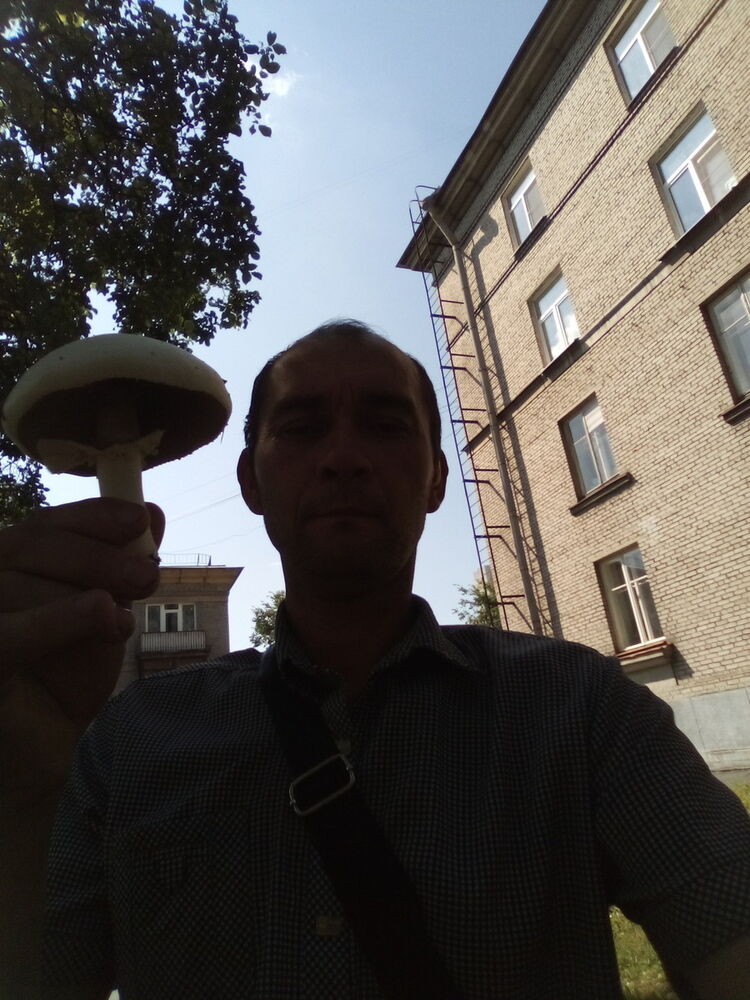 ���������� ������, ���� ������� ������, 50 ���, ������������ ��� ������, ����� � ���������, c�������� ���������