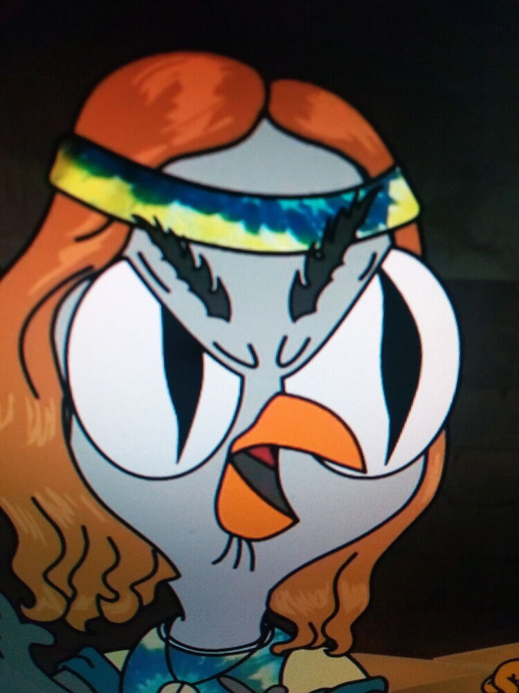 ���� 21577316 ����� �����, 23 ����, ���� ���������� � �����