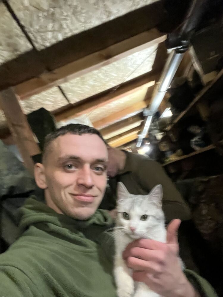  41701706  , 32 ,    