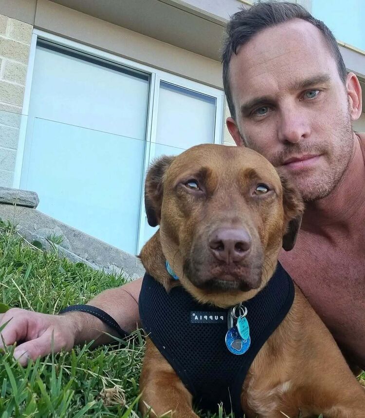 ���� 51176006 ������� �����, 37 ���, ���� ���������� � ����������